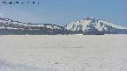 area3-20250503113101.jpg