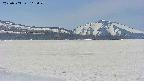area3-20250503115052.jpg