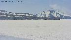 area3-20250503121057.jpg