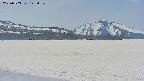 area3-20250503122105.jpg