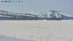 area3-20250503123101.jpg