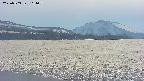 area3-20250503161058.jpg