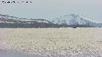 area3-20250503163055.jpg