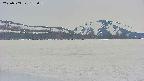 area3-20250503182057.jpg
