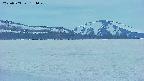 area3-20250503184051.jpg