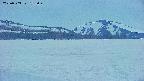 area3-20250503185050.jpg