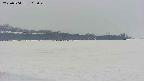 area3-20250504105043.jpg