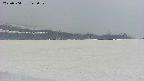 area3-20250504142058.jpg
