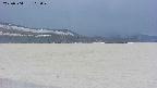 area3-20250504163047.jpg