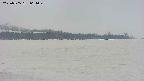area3-20250505064046.jpg