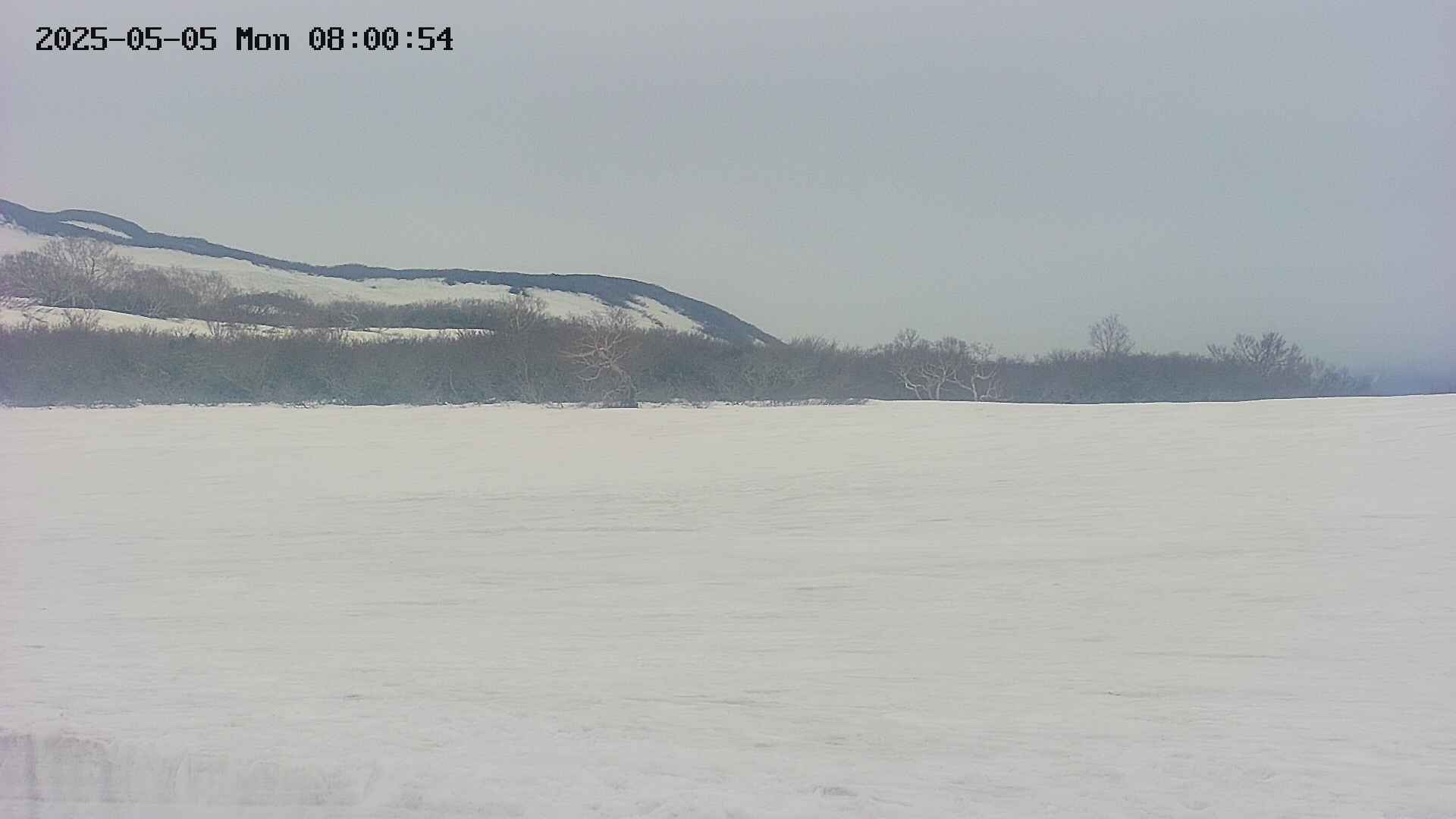 area3-20250505080056.jpg
