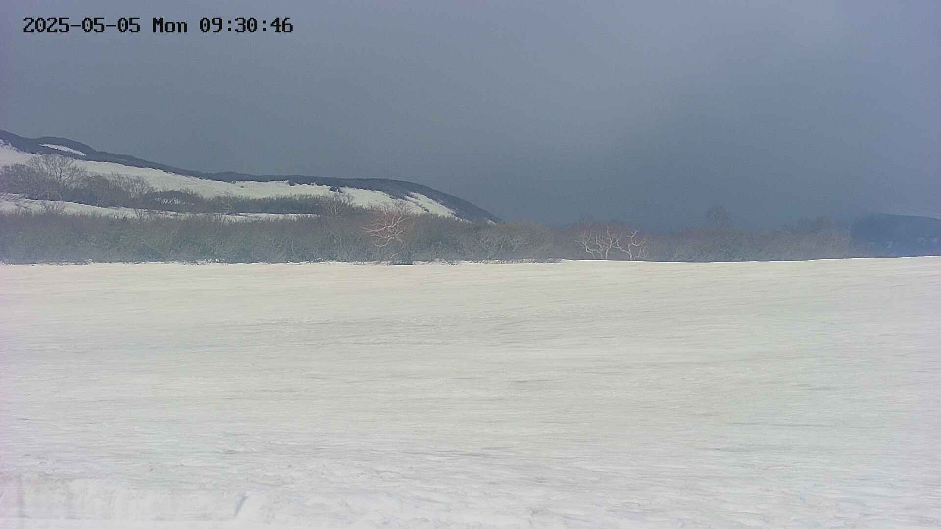 area3-20250505093048.jpg
