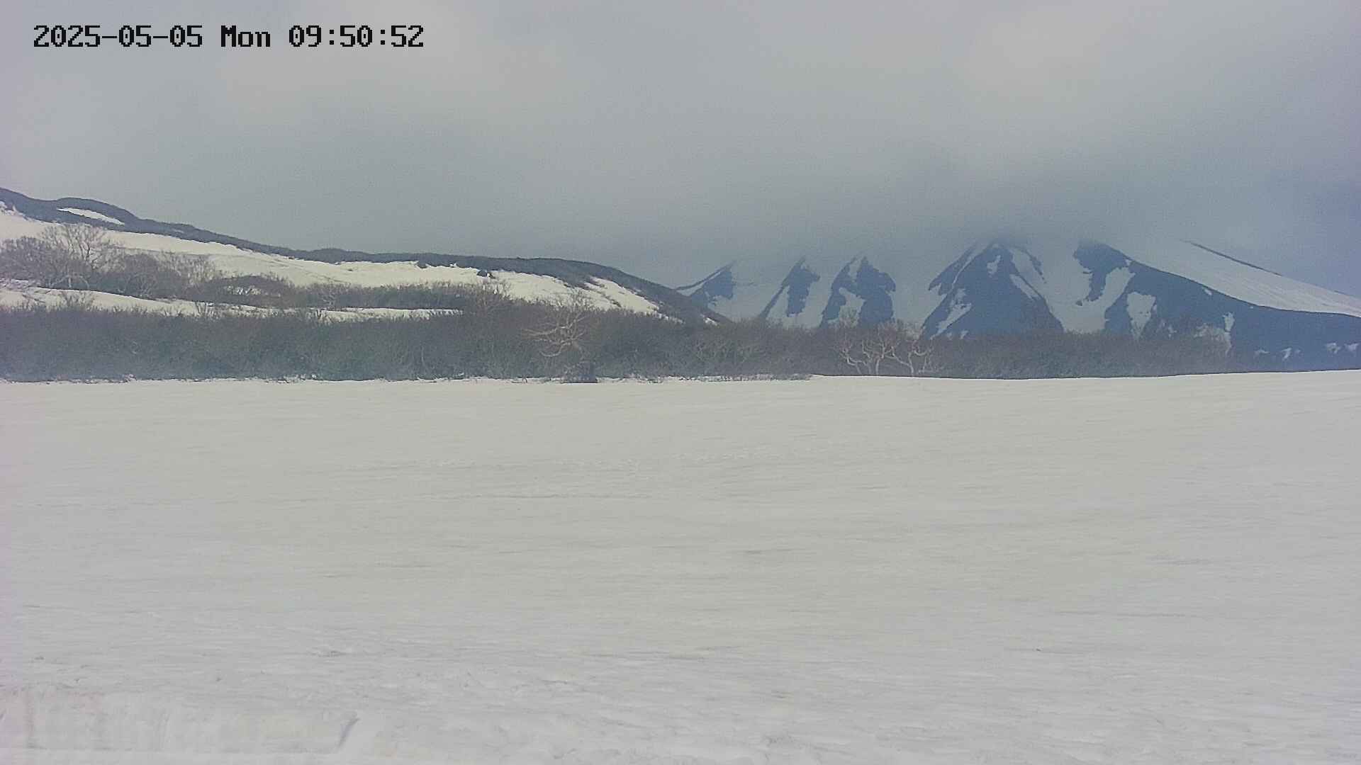 area3-20250505095055.jpg