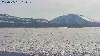 area3-20250505162058.jpg