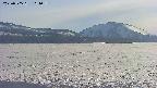 area3-20250505164059.jpg