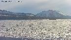 area3-20250505172054.jpg