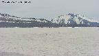 area3-20250506054045.jpg