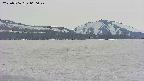 area3-20250506060050.jpg
