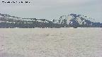 area3-20250506071044.jpg
