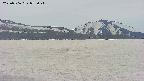 area3-20250506072042.jpg
