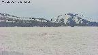 area3-20250506074044.jpg