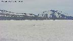 area3-20250506075041.jpg