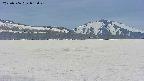 area3-20250506092043.jpg