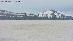 area3-20250506120044.jpg