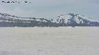area3-20250506130052.jpg