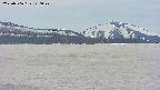 area3-20250506140055.jpg