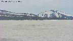 area3-20250506141049.jpg