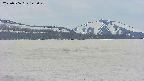 area3-20250506142054.jpg