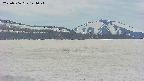 area3-20250506144047.jpg
