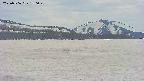 area3-20250506150053.jpg