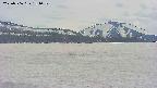 area3-20250506151052.jpg