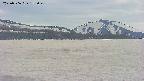 area3-20250506153052.jpg