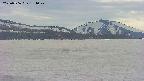 area3-20250506154048.jpg