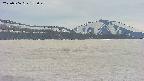 area3-20250506155050.jpg