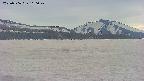 area3-20250506160049.jpg