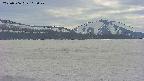 area3-20250506163049.jpg