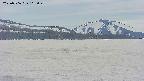 area3-20250506165050.jpg