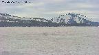 area3-20250506170059.jpg