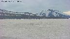 area3-20250506184049.jpg
