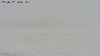 area3-20250507052043.jpg