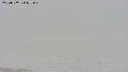 area3-20250507075044.jpg