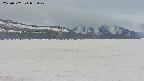area3-20250507092042.jpg