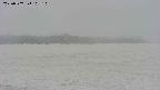 area3-20250507105110.jpg
