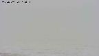 area3-20250507111054.jpg