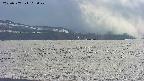 area3-20250507162045.jpg