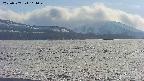 area3-20250507164049.jpg